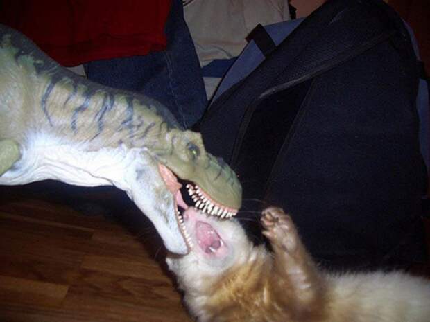 Жуткий тиранозавр нападает на беззащитного хорька. животные, нападения, не для слабонервных, человек