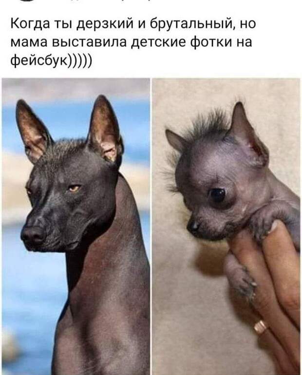 Интернет помнит всё)
