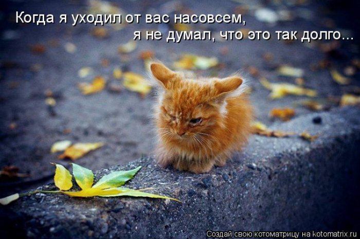Мысли вслух :)