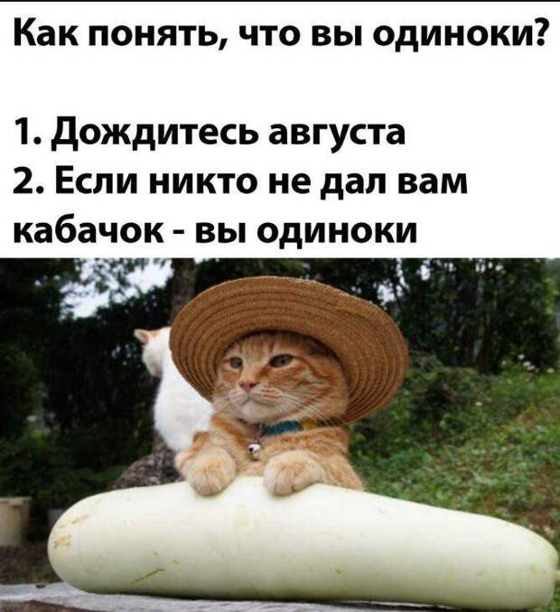 смешные картинки с надписями (17)