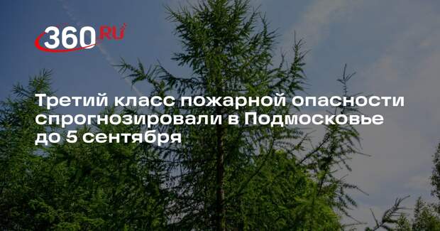 Третий класс пожарной опасности спрогнозировали в Подмосковье до 5 сентября