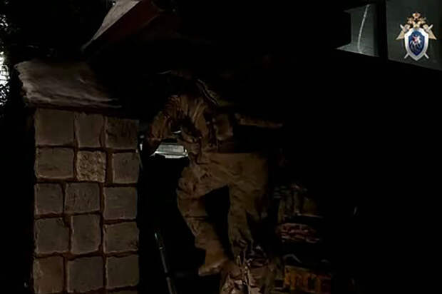 Природный интерьер особняка директора парка «Куршская коса» попал на видео