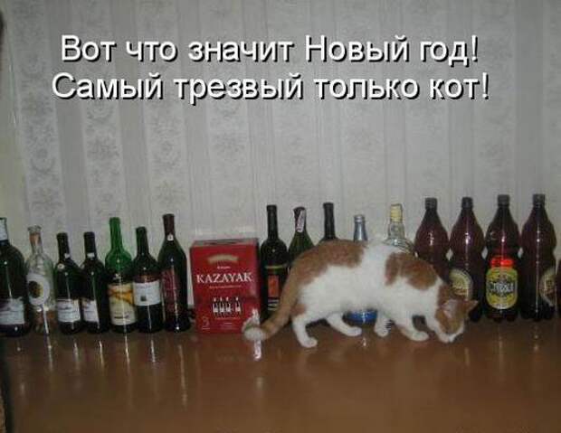 Мысли вслух :)