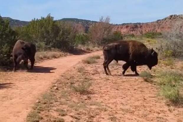 Момент неожиданного спасения
