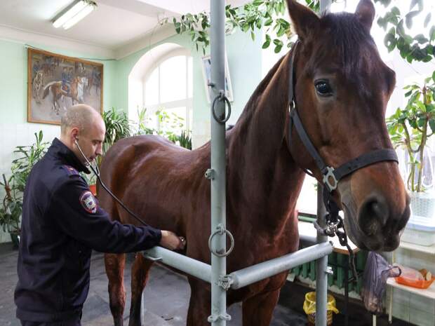 В Тюменской области востребованы специалисты аграрной сферы