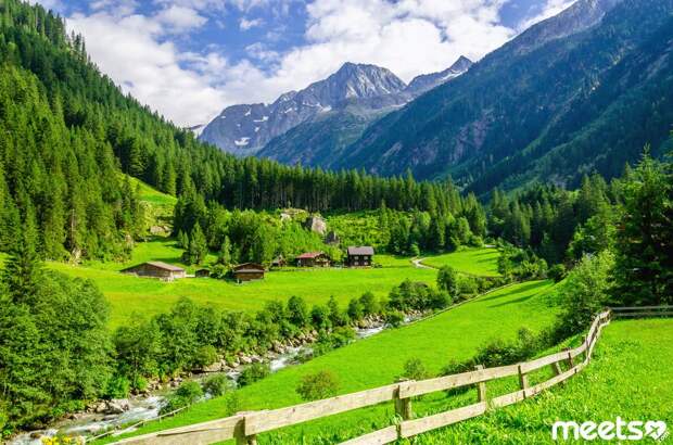 Green meadows, Alps Green meadows