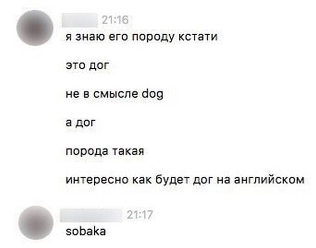 Подборка картинок. Вечерний выпуск (50 фото)
