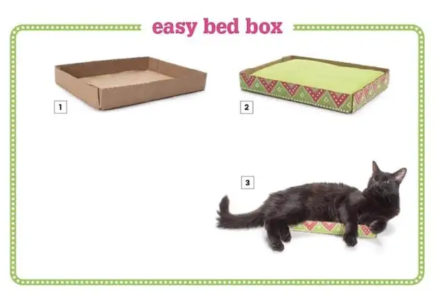 Игрушка для кота из коробки с дырками своими руками схема