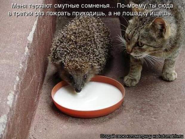 невыдуманные истории