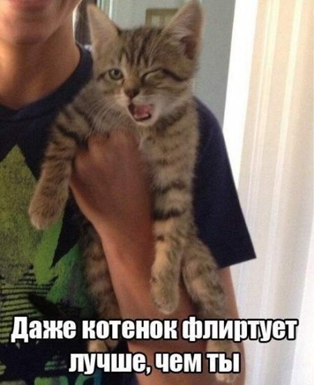 Оттянись, посмотри приколы.