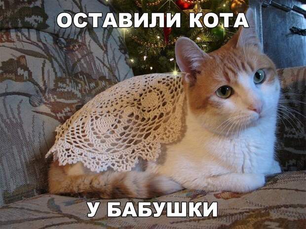 Картинки и фотографии с надписями из жизни (10 фото) Картинки и фотографии с надписями из жизни (10 фото)