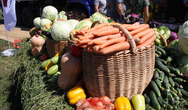 Татарстан собрал более 5 млн тонн урожая