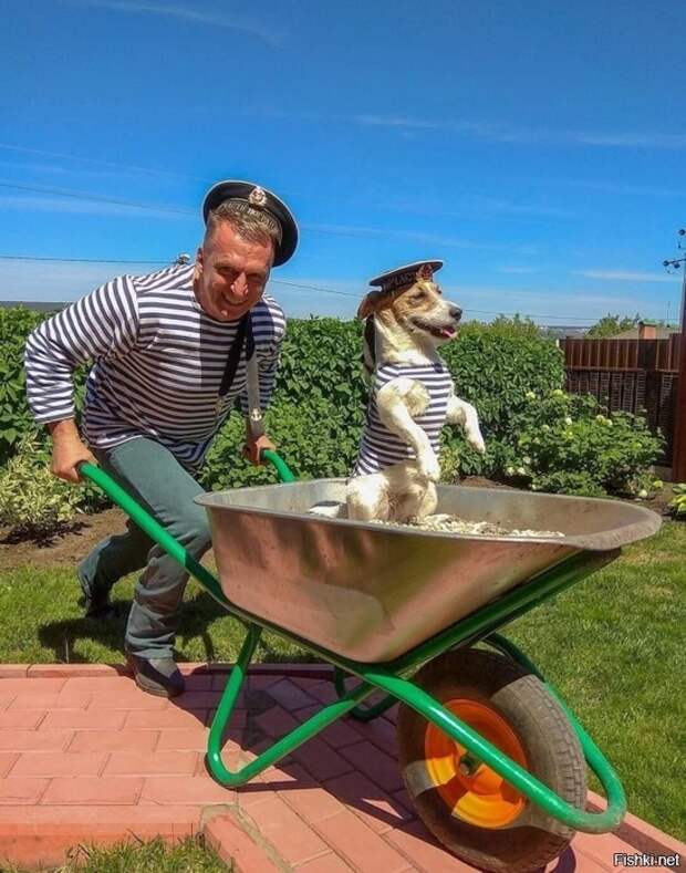 fbfb9cbfefe81b3d2c7158327ebe6ef2 (549x700, 285Kb)