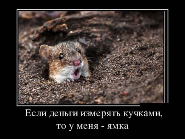 Демотиваторы №118 (30 фото)
