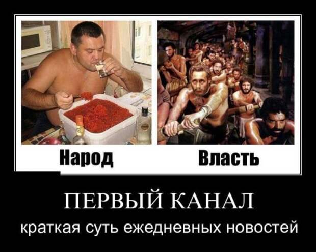 7.  Анекдоты, девушки, демотиваторы, животные, прикол, юмор