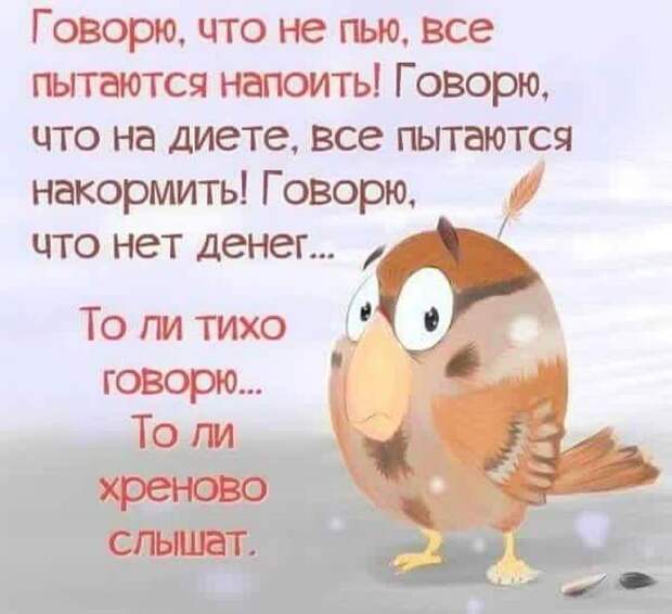 Смотрят бабка с дедом Кашпировского. Дед кричит...