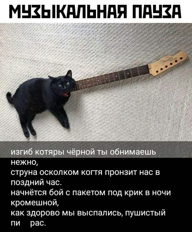 kartinok-prikolnyh-podborka-kartinki-smeshnye-kartinki-fotoprikoly