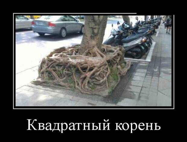 Демотиваторы (30 фото)