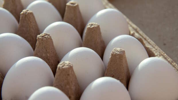 Три страны подали запрос в Россельхознадзор на начало поставок яиц в Россию
