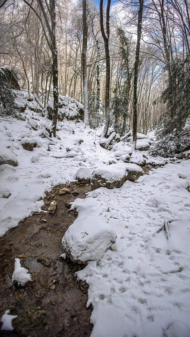 Доброе утро! И хорошего дня!