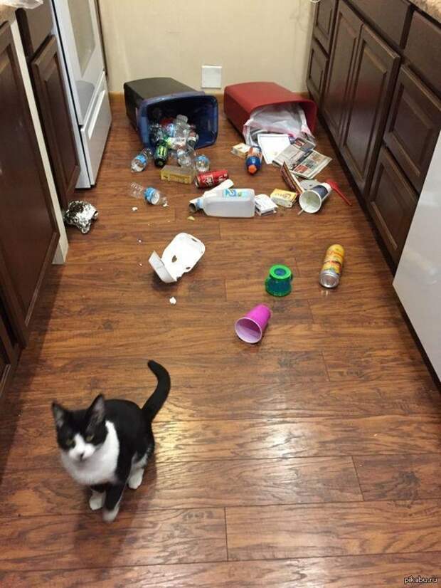 1L9Ma340-gc (525x700, 267Kb)