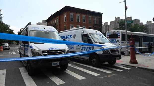 «На улицах лежат люди, сношаются»: россиянка из Америки рассказала, чего боится Трамп