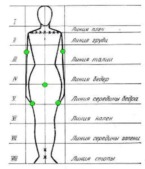 Схема пропорций фигуры человека