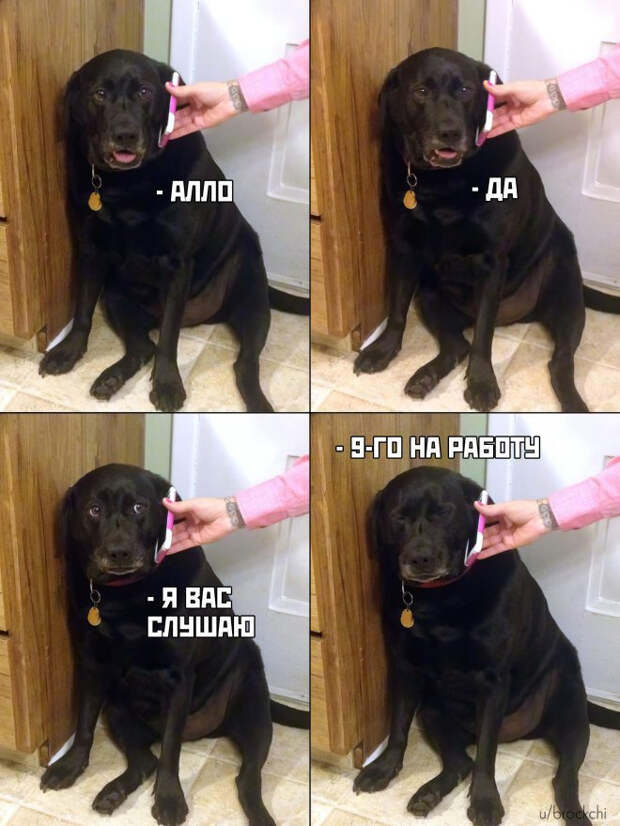 мем