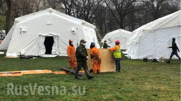Эпидемия коронавируса в США: взрывной рост заболевших и бессилие властей