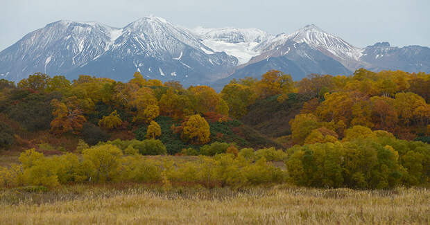 Золотая осень на Камчатке