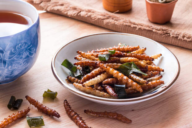 Dutch Schools Offer Children Worms and Insects as ‘Sustainable’ Meat Replacement   – The European Conservative