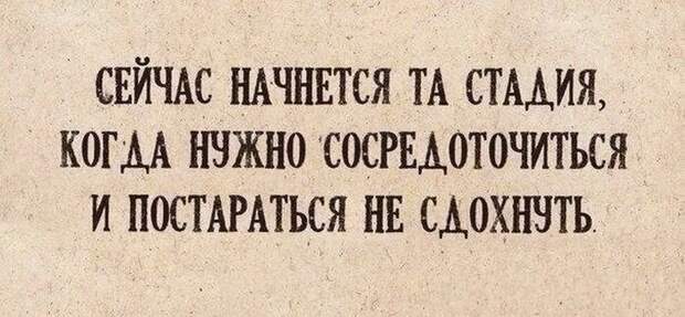 Прикольные картинки Прикольные картинки