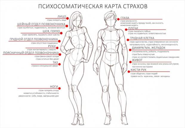 Тело помнит все: где спрятались переживания.jpg Тело помнит все: где спрятались переживания.jpg