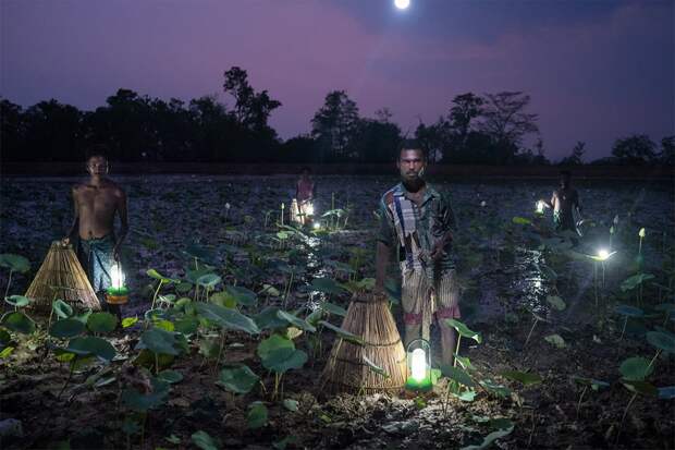 Финалисты экологического фотоконкурса Atkins Ciwem Environmental Photographer of the Year 2016
