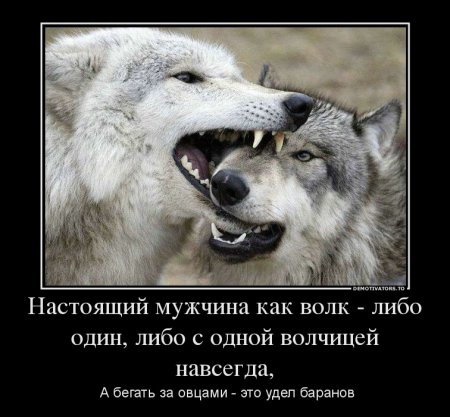 Немотивированные демотиваторы.