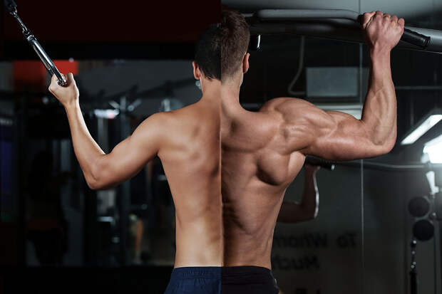 Типы телосложения и рост мышц