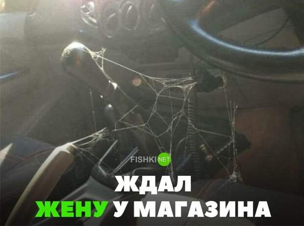 Ждал жену из магазина авто, автомобили, автоприкол, автоприколы, подборка, прикол, приколы, юмор