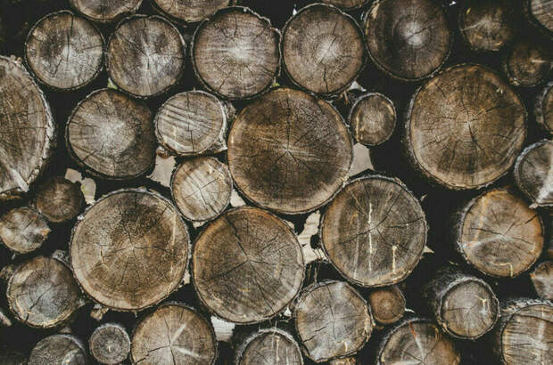 Жителей Львова призвали запасаться дровами на зиму