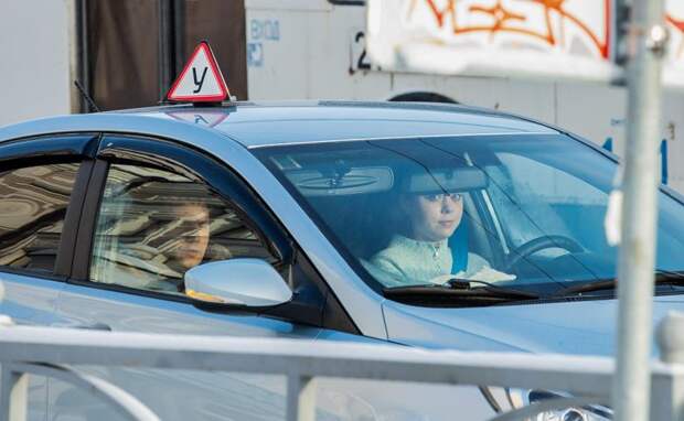 Юристы оценили идею оценивать автошколы, основываясь на погибших в ДТП выпускниках