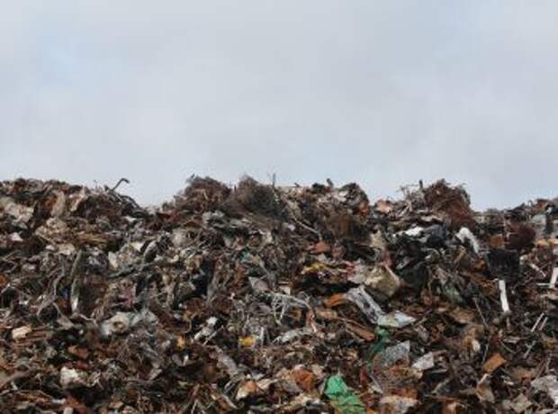 В Челябинске введен режим ЧС из-за проблем с мусором