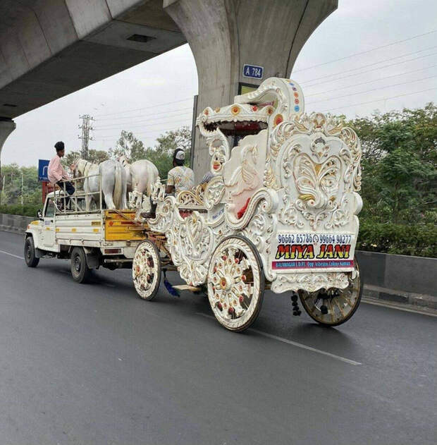 78104186_original (686x700, 466Kb)