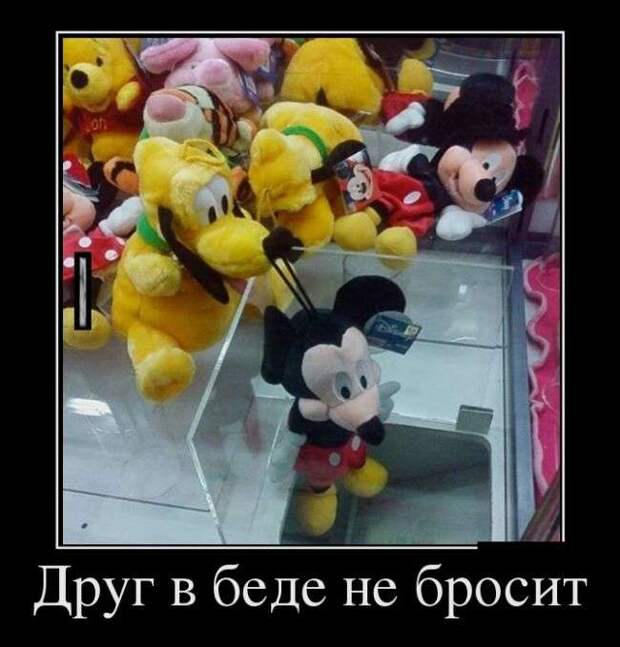 Демотивируемся! Демотивируемся!