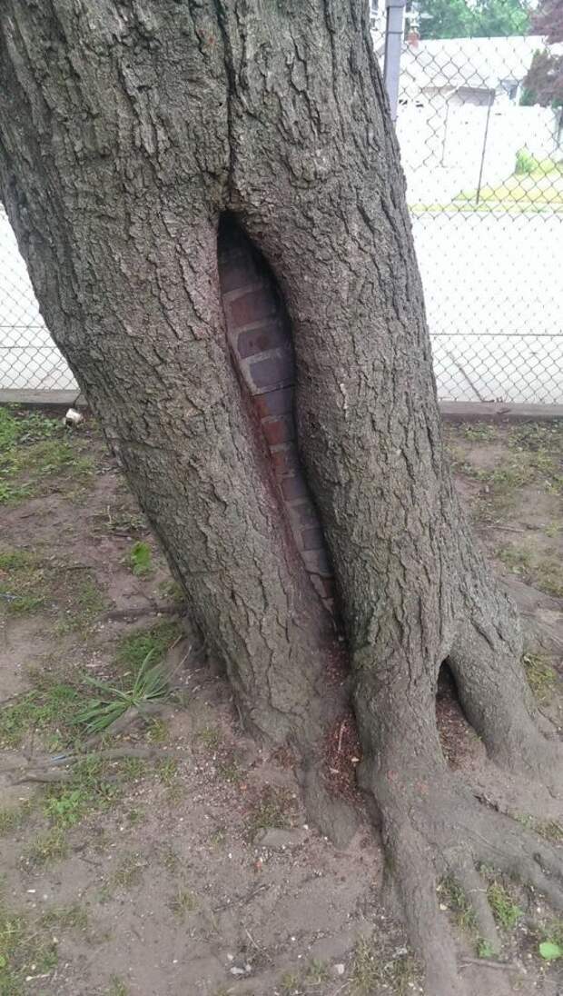 Удачный момент