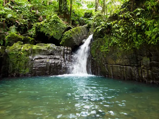 10 мест для отдыха в обществе диких животных 10 мест для отдыха в обществе диких животных