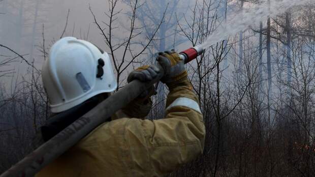 В Якутии зафиксированы более полусотни очагов возгораний леса
