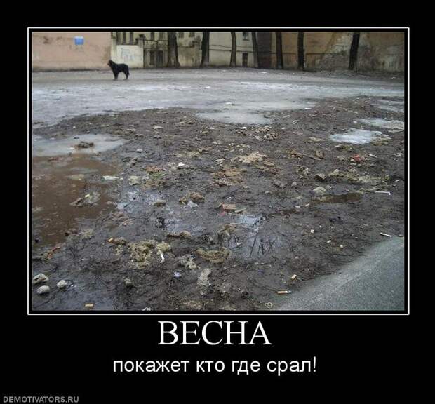 7.  весна, демотиваторы, юмор
