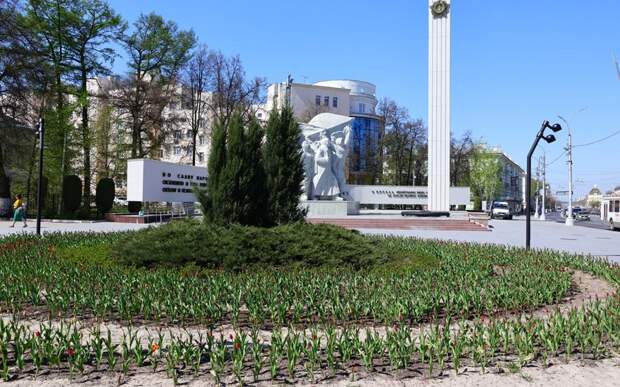 В Рязани продолжается высадка цветов