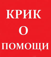 Как никогда просим вас о помощи!!! Эти малыши пропадают в пустом садоводстве...А из леса приходят лисы...