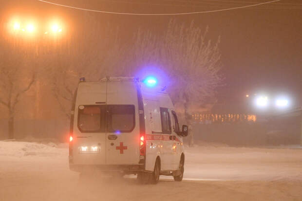На Камчатке врачи скорой километр несли пациента с переломом на руках