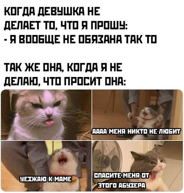 Подборка интересных и веселых картинок Подборка интересных и веселых картинок